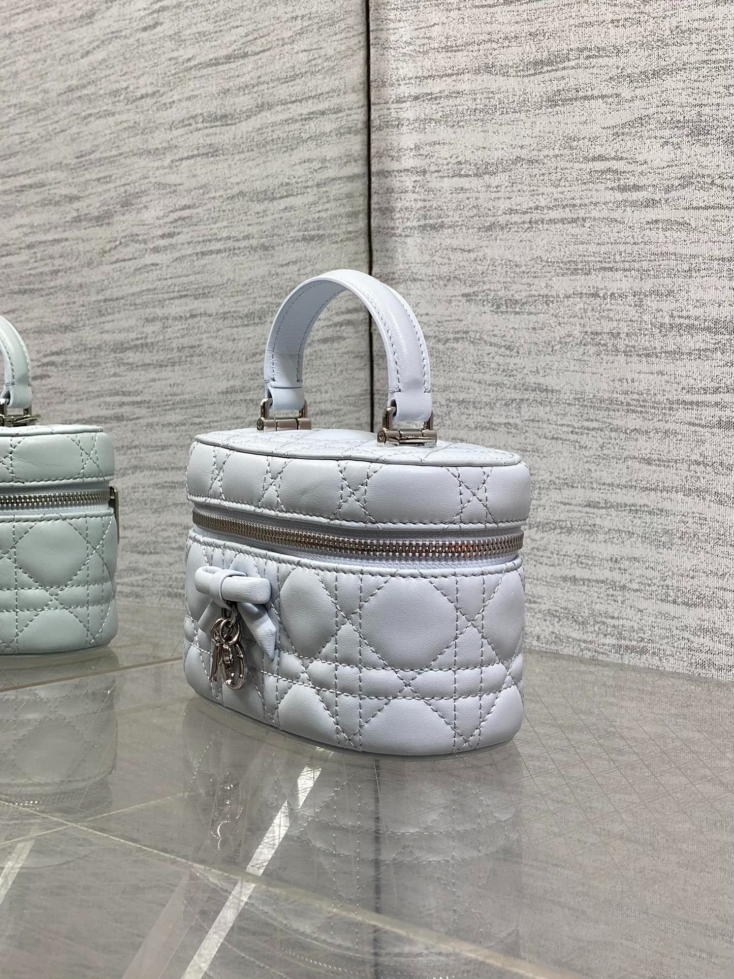 CD 2026 Vanity Bag 17.5cm Cannage Lambskin 289248