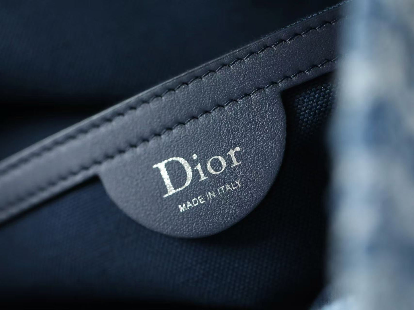 CD Dioriviera Spongy Book Tote Blue Printed Cotton