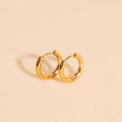 Titanium Mini Rounded Huggie Hoop Earrings