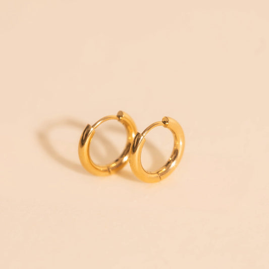 Titanium Mini Rounded Huggie Hoop Earrings