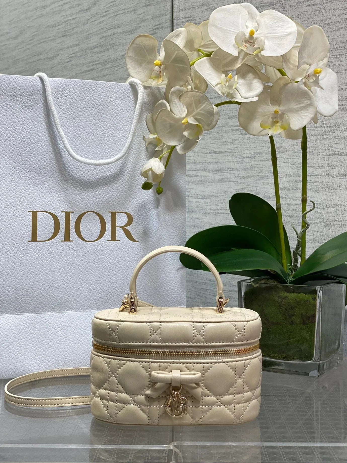 CD 2026 Vanity Bag 17.5cm Cannage Lambskin 289248