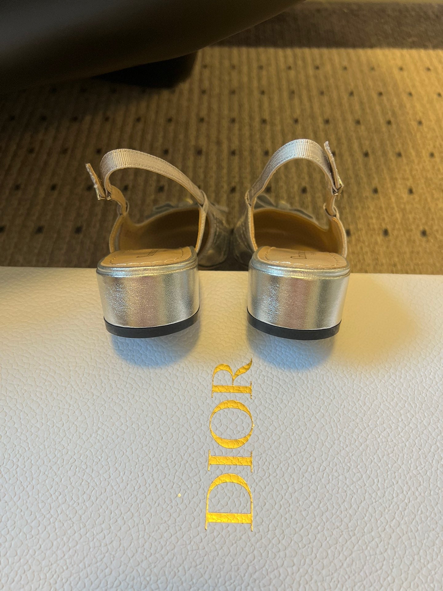 CD 26s Dior Ballet Slingback Pump 3cm Sliver Cowhide 622214