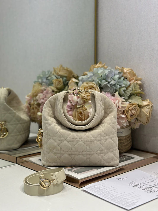 Dior 2026 Toujours Hobo 27cm Suede
